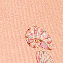 Peach Seashells 